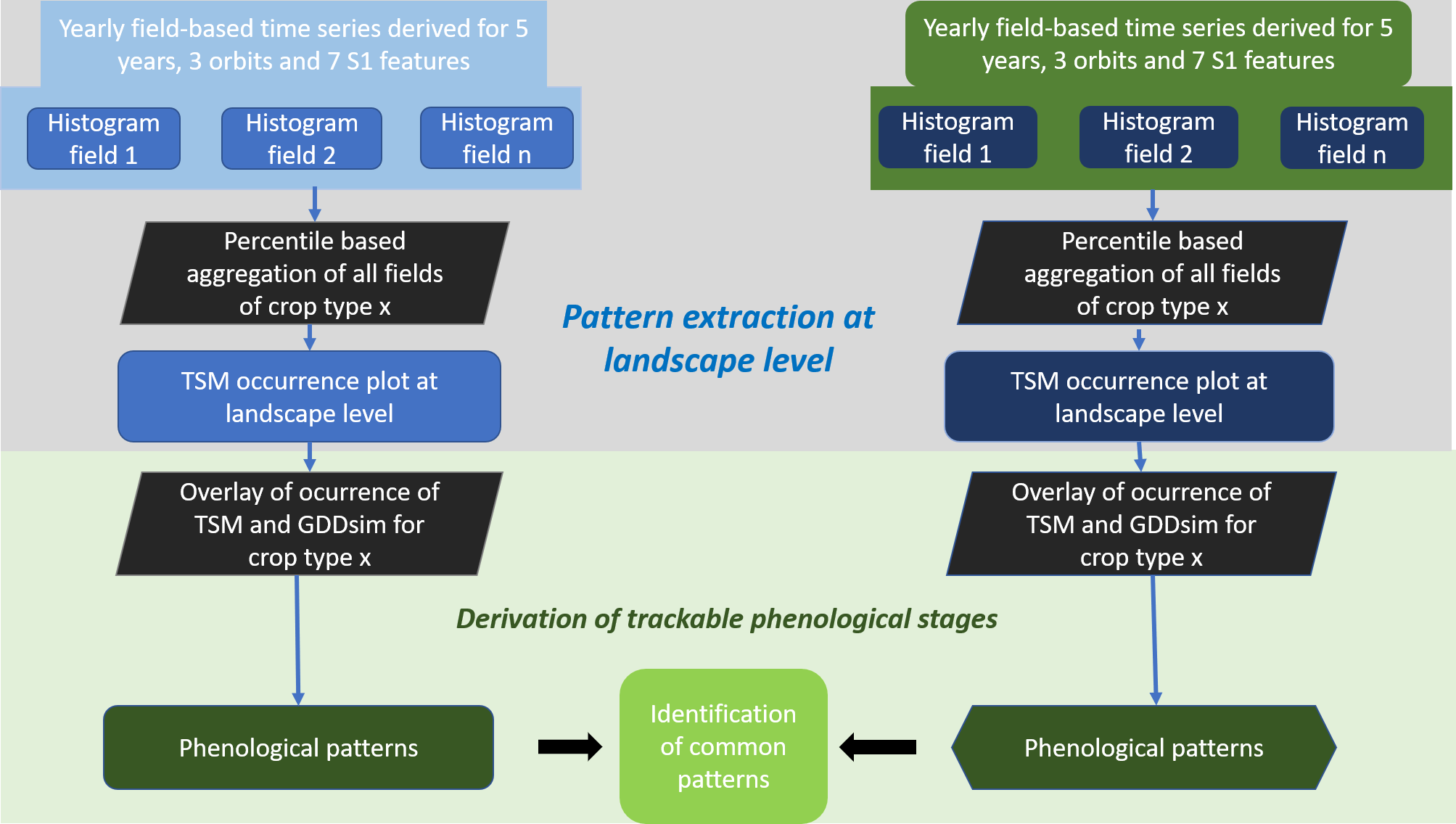 Loew_et_al_2024 (3)