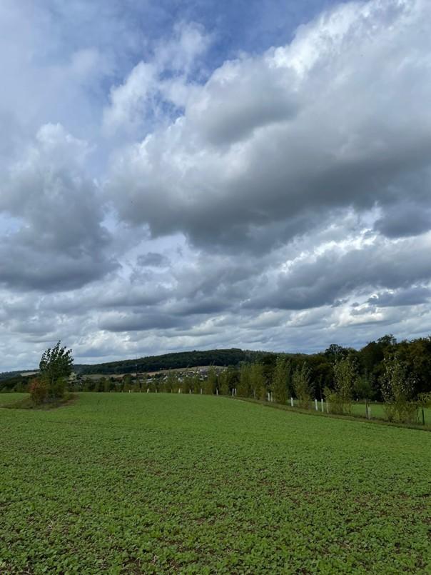 Bild3